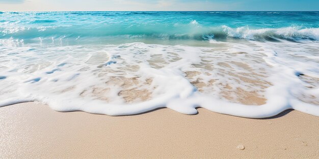 Plaża brzeg zatoka wyspa linia brzegowa morze ocean wakacje krajobraz tło w słoneczny dzień relaksujący vibe