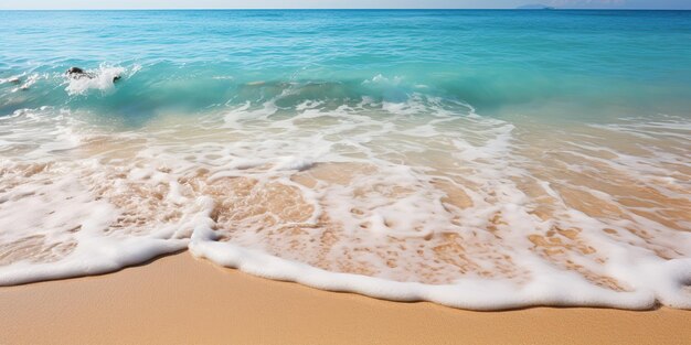 Plaża brzeg zatoka wyspa linia brzegowa morze ocean wakacje krajobraz tło w słoneczny dzień relaksujący vibe