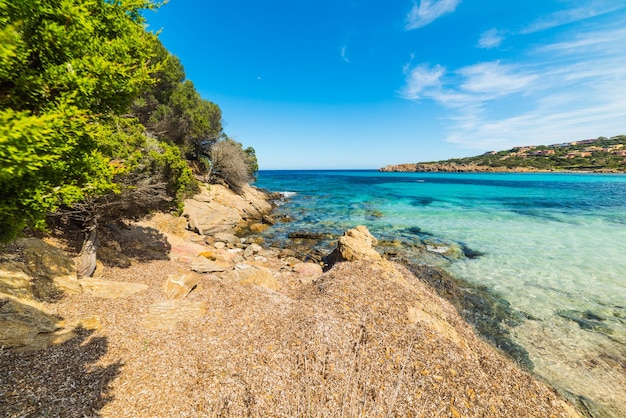 Plaża Cala granu w Costa Smeralda