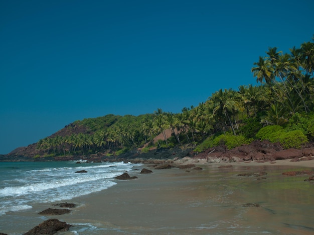 Plaża Cola Goa