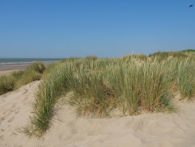 Zdjęcie plaża de haan.