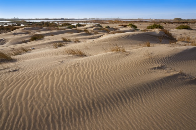 Plaża Delta del Ebro Punta del Fangar