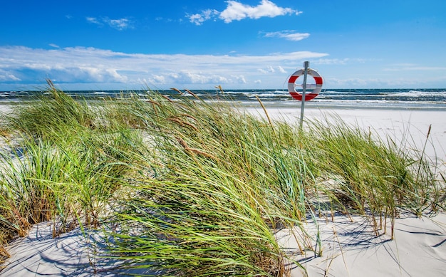 Plaża Dueodde w Danii