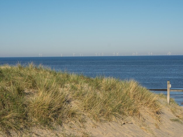 Plaża Egmond