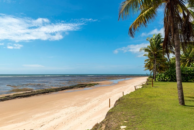 Plaża Espera Itacimirim Bahia Brazylia.