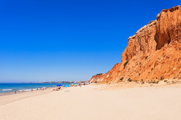 Plaża Falesia w Albufeira, region Algarve w Portugalii