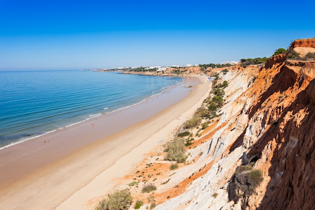 Zdjęcie plaża falesia