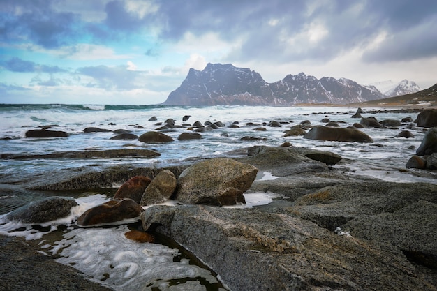 Plaża fiordu w Norwegii