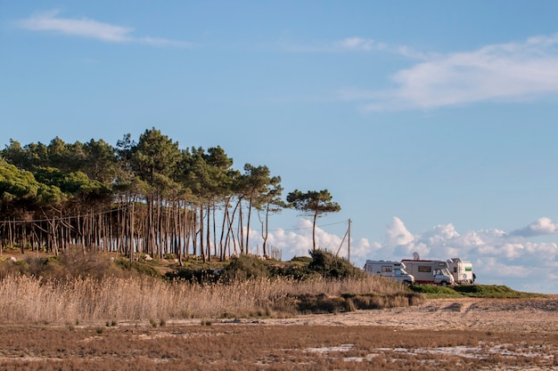 Plaża i klify w Quarteirze