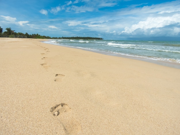 Plaża I Morze Tropikalne