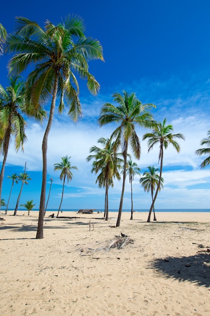 Plaża i morze tropikalne