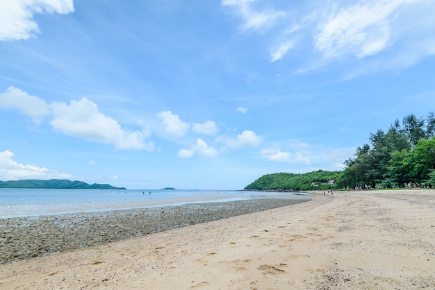 Plaża i morze z niebieskim niebem