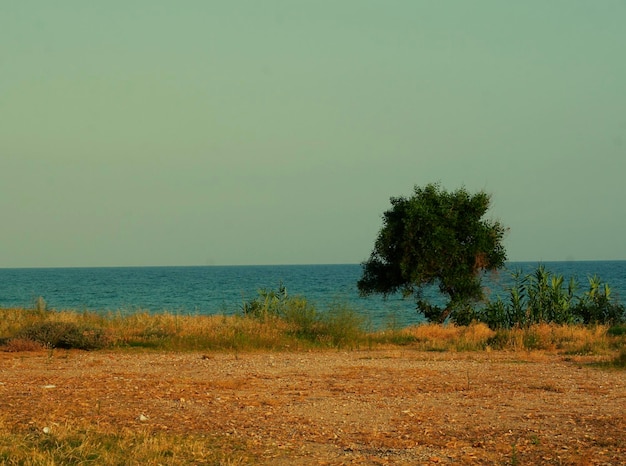 Plaża i morze