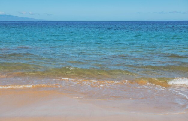 Plaża i tropikalne morze kolorowy ocean plaża krajobraz z czystą turkusową wodą malediwy lub hawaje