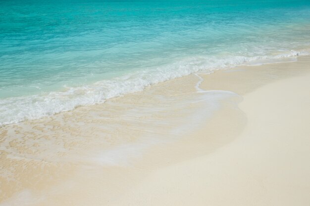 Plaża i tropikalne morze. tło natury