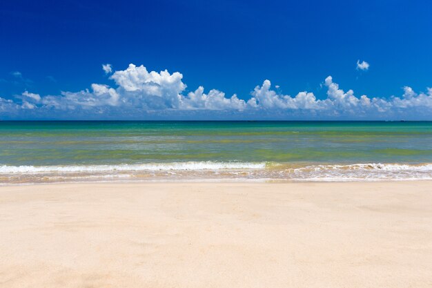 Plaża i tropikalne morze