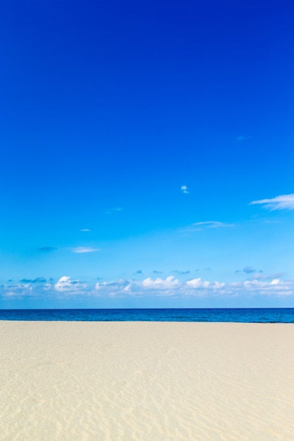 Plaża i tropikalne tropikalne morze