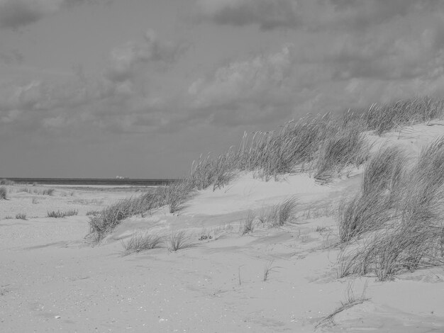 Plaża i wydmy