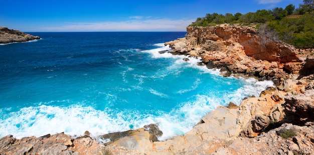 Plaża Ibiza Punta De Sa Galera W San Antonio