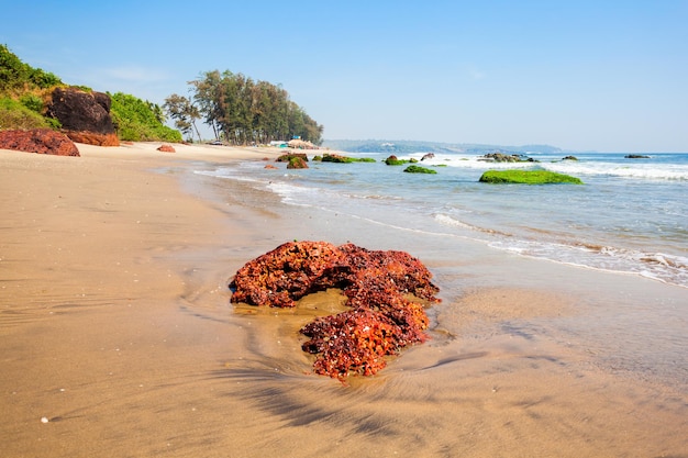 Plaża Keri lub Kerim lub Querim w północnym Goa w Indiach