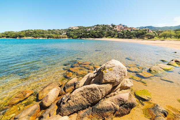 Plaża Liscia Di Vacca Na Costa Smeralda We Włoszech