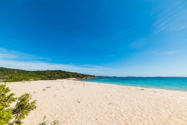 Plaża Liscia Ruja w pogodny dzień