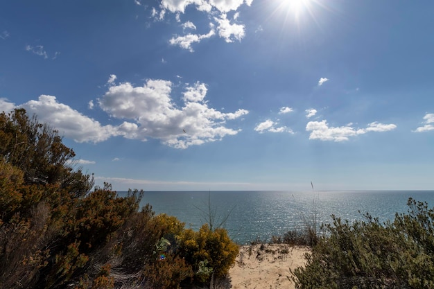 Plaża Mazagón w prowincji Huelva Hiszpania Jedna z najpiękniejszych plaż w Hiszpanii