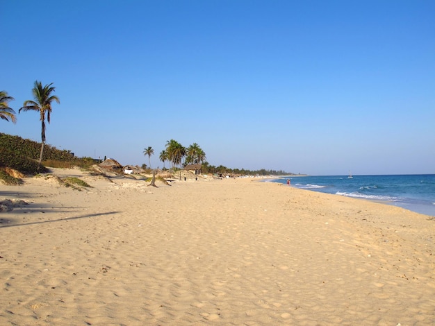 Plaża Morza Karaibskiego w Hawanie na Kubie