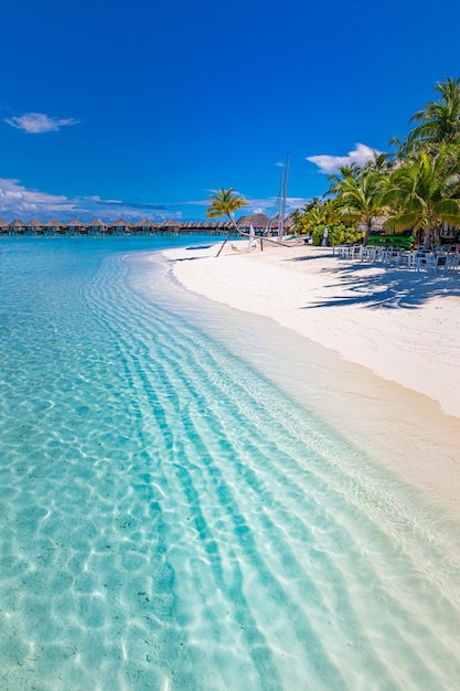 Plaża na Malediwach. Tropikalny krajobraz letnich wakacji, biały piasek z palmami, słoneczne niebo