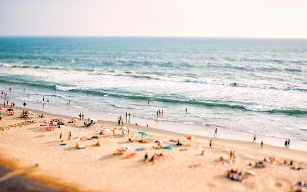 Plaża na Oceanie Indyjskim. Indie (obiektyw z przesunięciem pochylenia).