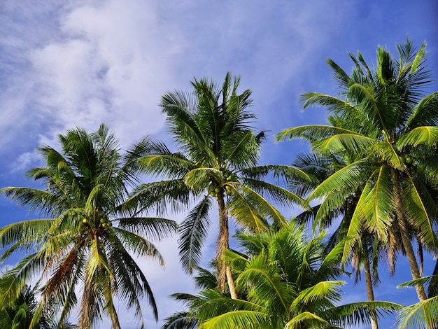 Plaża Na Wyspie Boracay, Filipiny