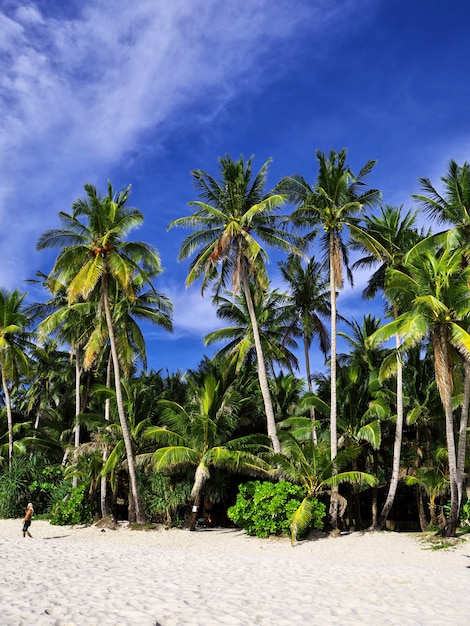 Plaża na wyspie Boracay, Filipiny