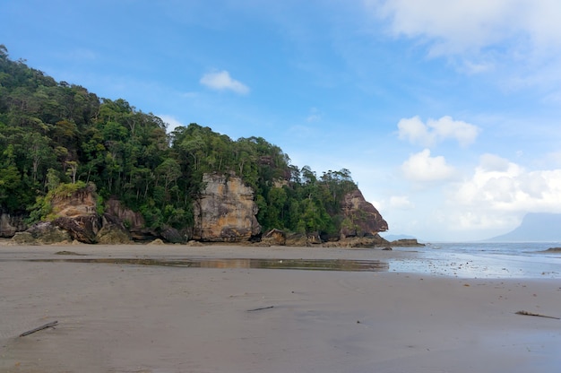 Plaża na wyspie Borneo w Parku Narodowym Bako