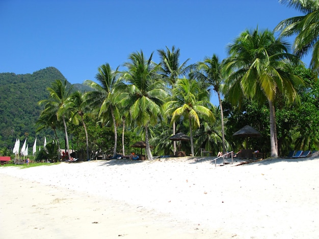 Plaża na wyspie langkavi w malezji