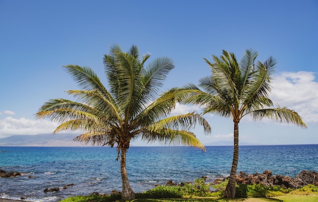 Plaża na wyspie maui aloha hawaje