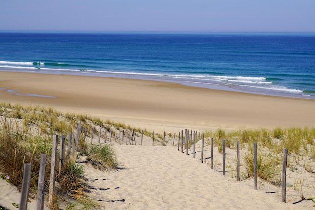 Plaża nad morzem z wydmami i piaszczystym ogrodzeniem na Oceanie Atlantyckim w żyrondzie we Francji południowo-zachodniej?