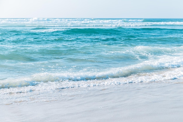 Plaża nad Oceanem Atlantyckim w pobliżu Aveiro Portugalia