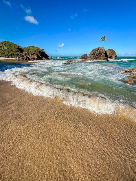 Plaża naturystyczna Tambaba w Conde w pobliżu Joao Pessoa Paraiba Brazylia