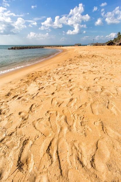 Zdjęcie plaża negombo, sri lanka