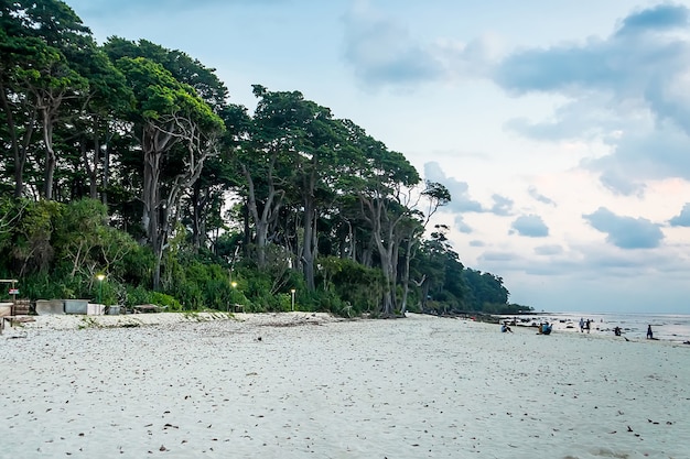 Plaża Neil Island I Błękitne Niebo Z Białymi Chmurami, Wyspy Andamańskie - Indie