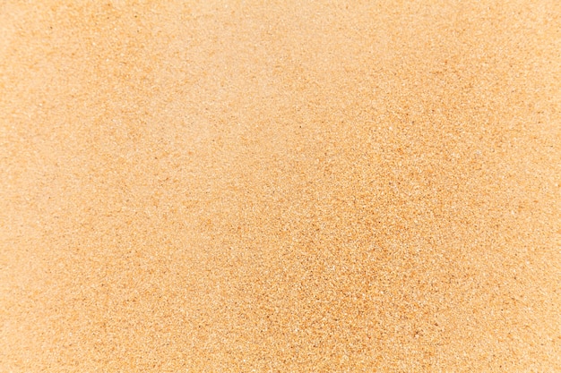 Plaża piaskowa