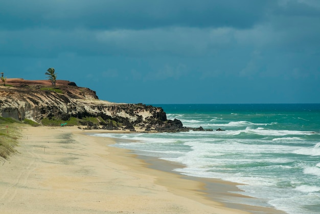 Plaża Pipa w pobliżu plaży Natal Stan Rio Grande do Norte Brazylia Plaża Minas