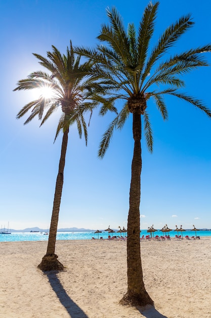 Plaża Platja de Alcudia na Majorce