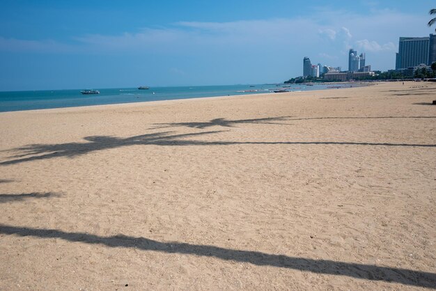 Plaża Po Południu Miasto I Budynek Po Drugiej Stronie Cień Drzewa Kokosowego Leżał Na Plaży