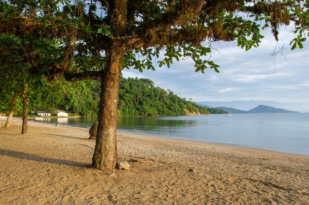 Plaża Pontal w Paraty Rio de Janeiro Brazylia