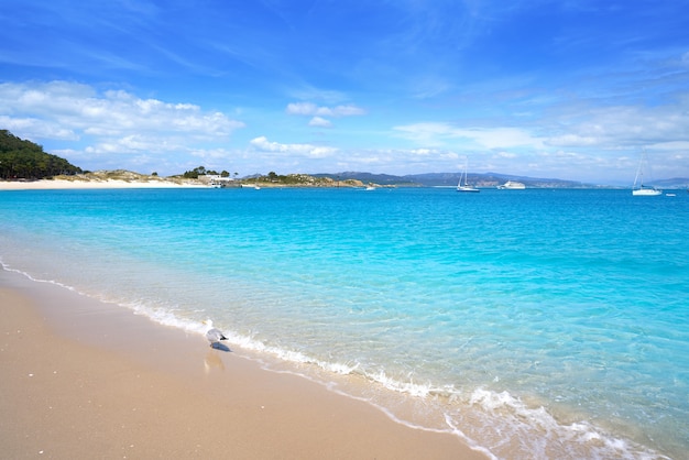 Plaża Praia de Rodas w wyspie islas Cies Vigo Hiszpania