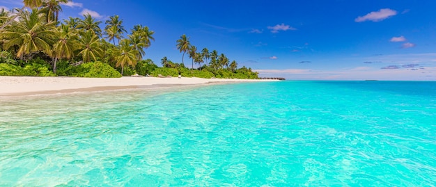 Plaża przyroda Piaszczysta plaża z palmami na tropikalnej idyllicznej rajskiej wyspie Egzotyczny krajobraz dla marzeń