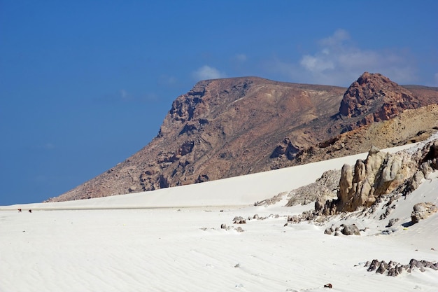 Plaża Qalansiyah Wyspa Socotra Ocean Indyjski Jemen