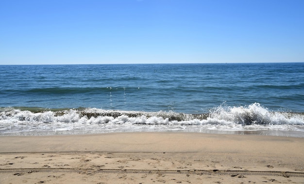 Plaża rano w letni dzień