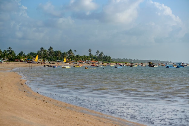 Plaża Sao Miguel dos Milagres Alagoas Brazylia Małe łodzie na plaży Toque